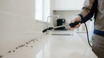 Ant trail treatment application