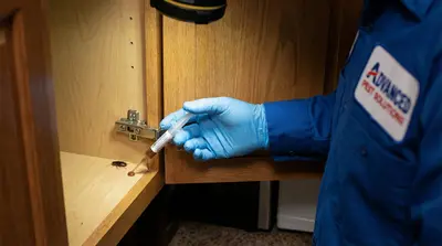 Cockroach gel bait treatment